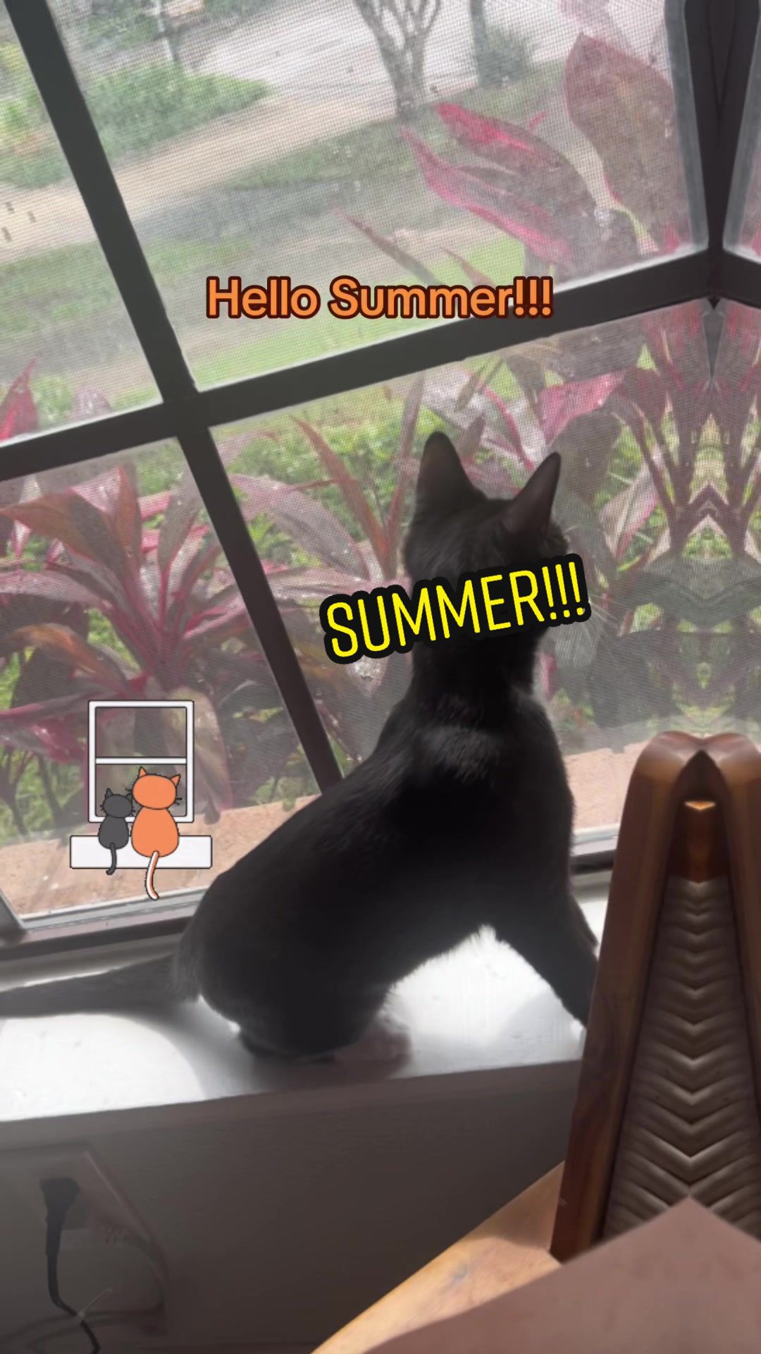 @Ryugyu Cat