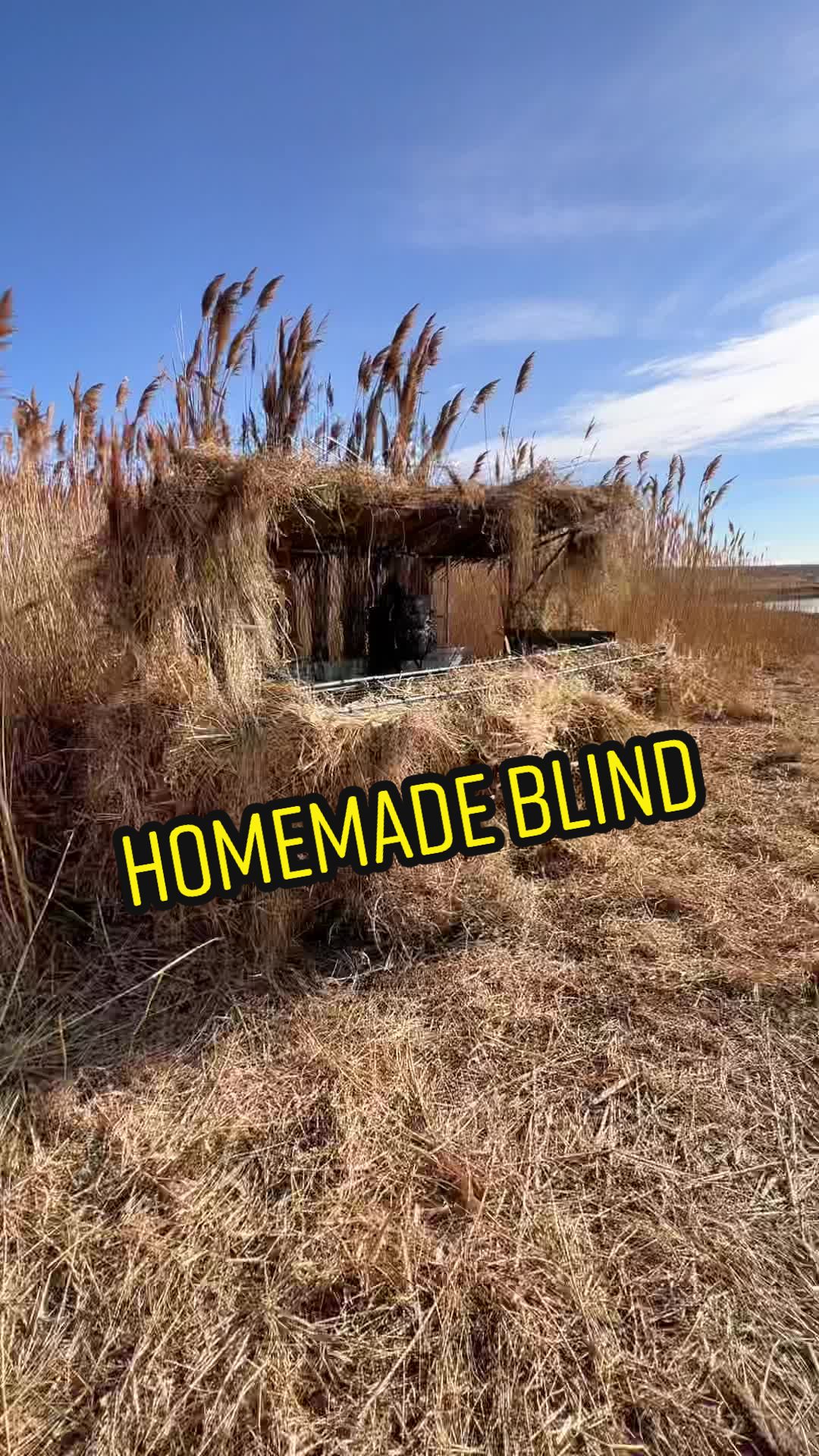 @Birdbath Waterfowl🦆
