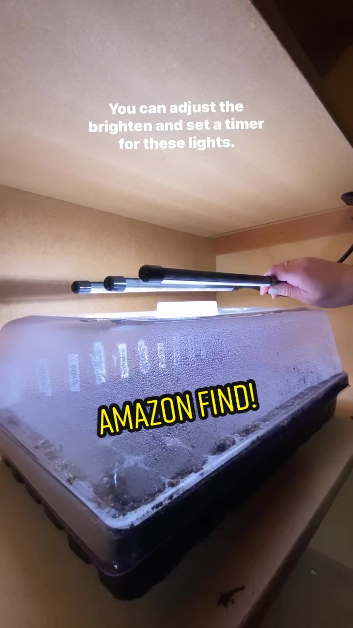 @Bonusspace
