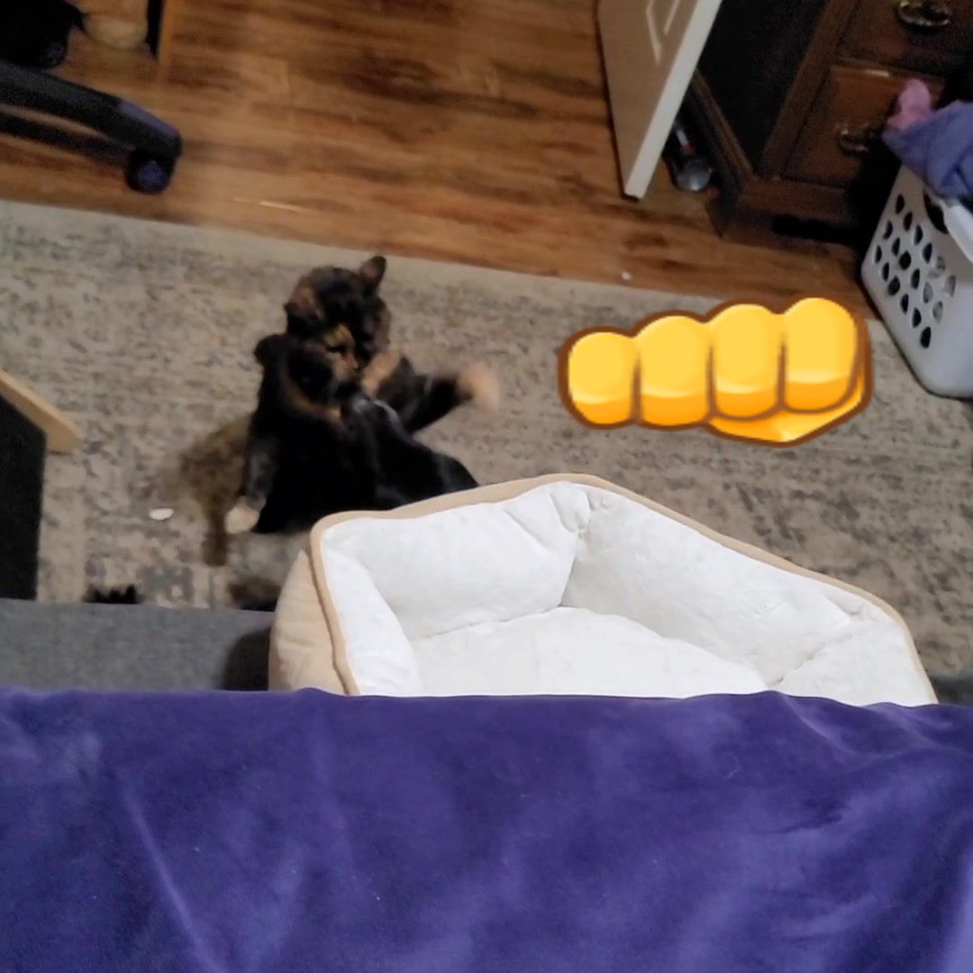 @Nicole WhatsTheirName