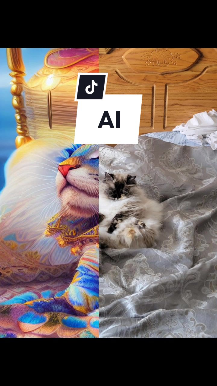 @CatWith