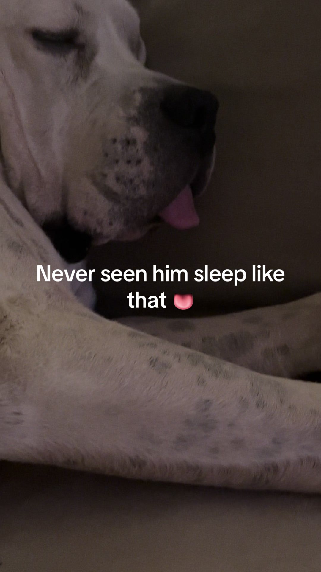 @bo