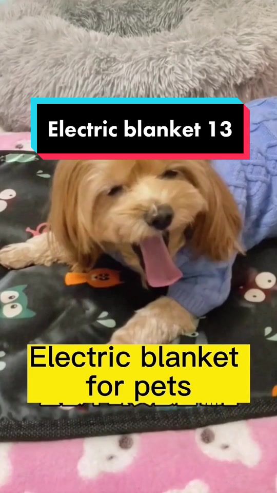 @Electric blanket factory
