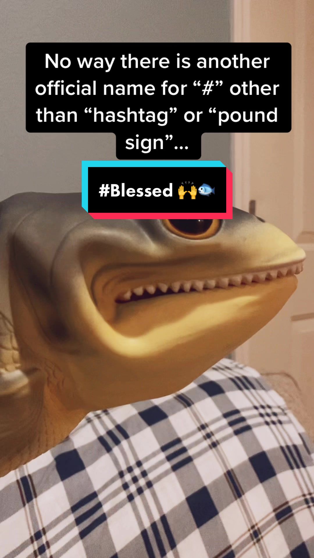 @RealisticFishHead