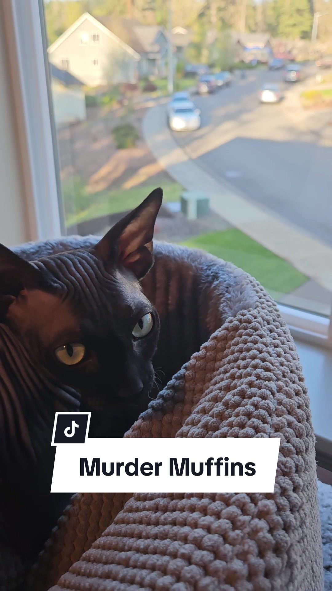 @kyoto.jack.sphynx