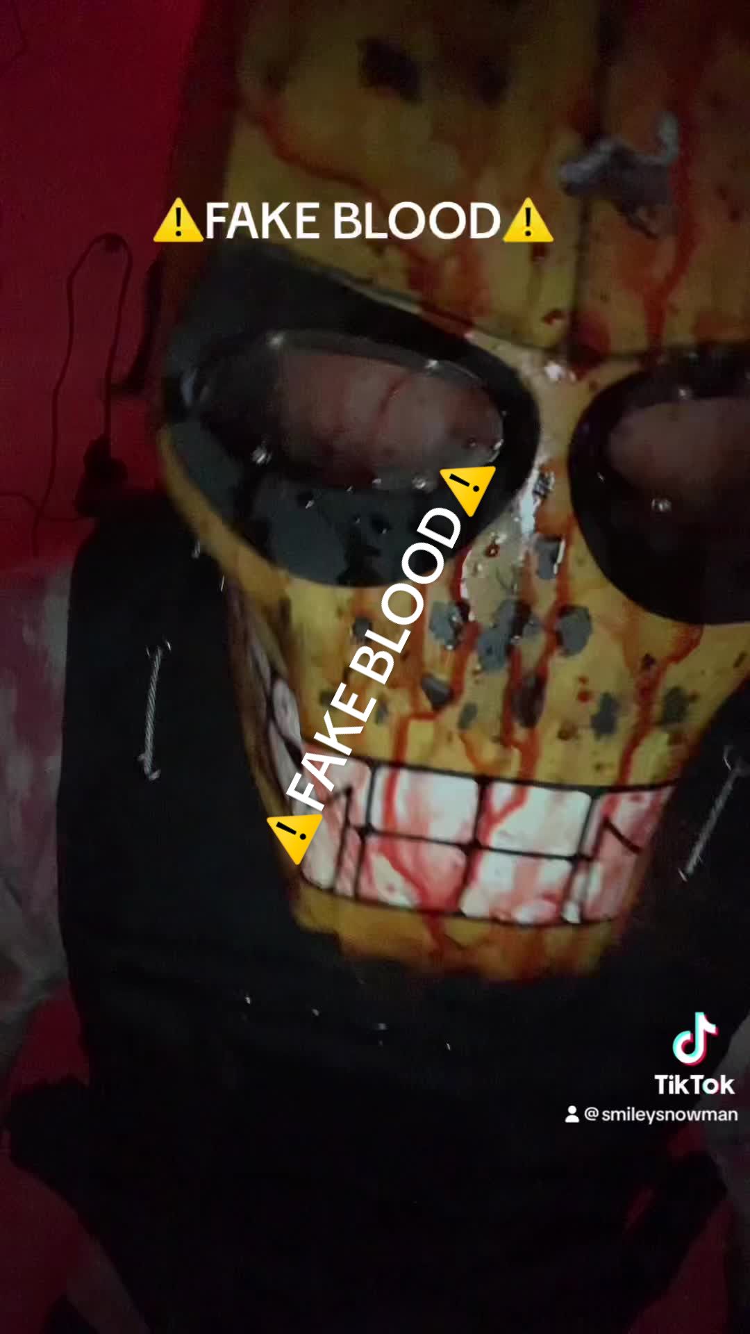 @Smileysnowman11