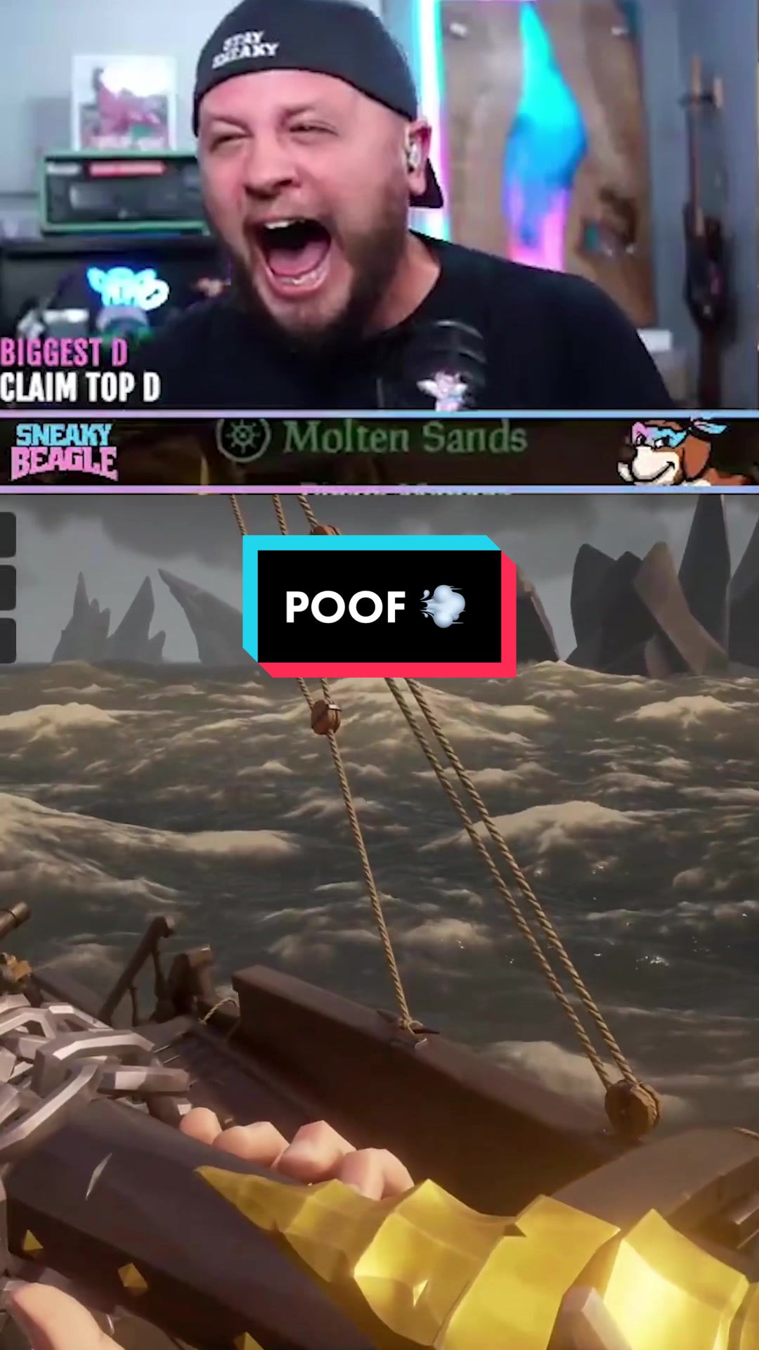 @Sneaky Beagle