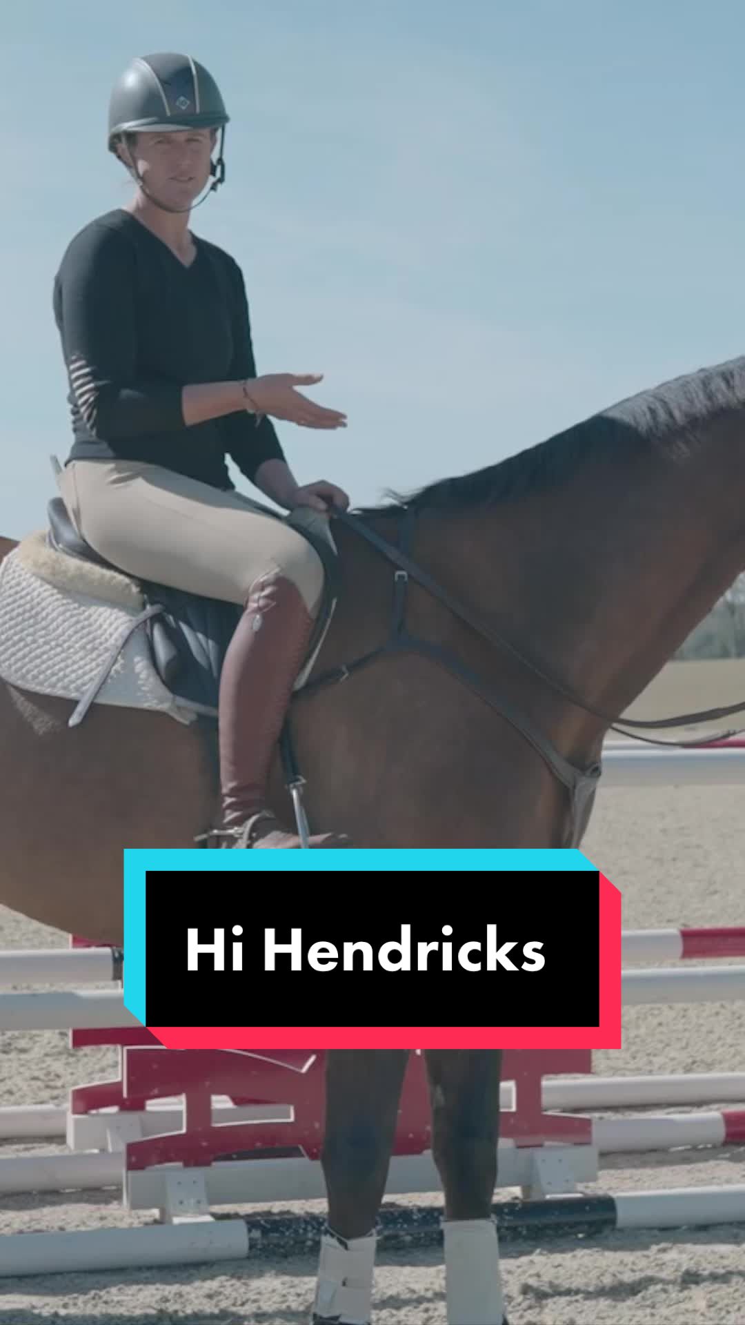 @Fit Equine