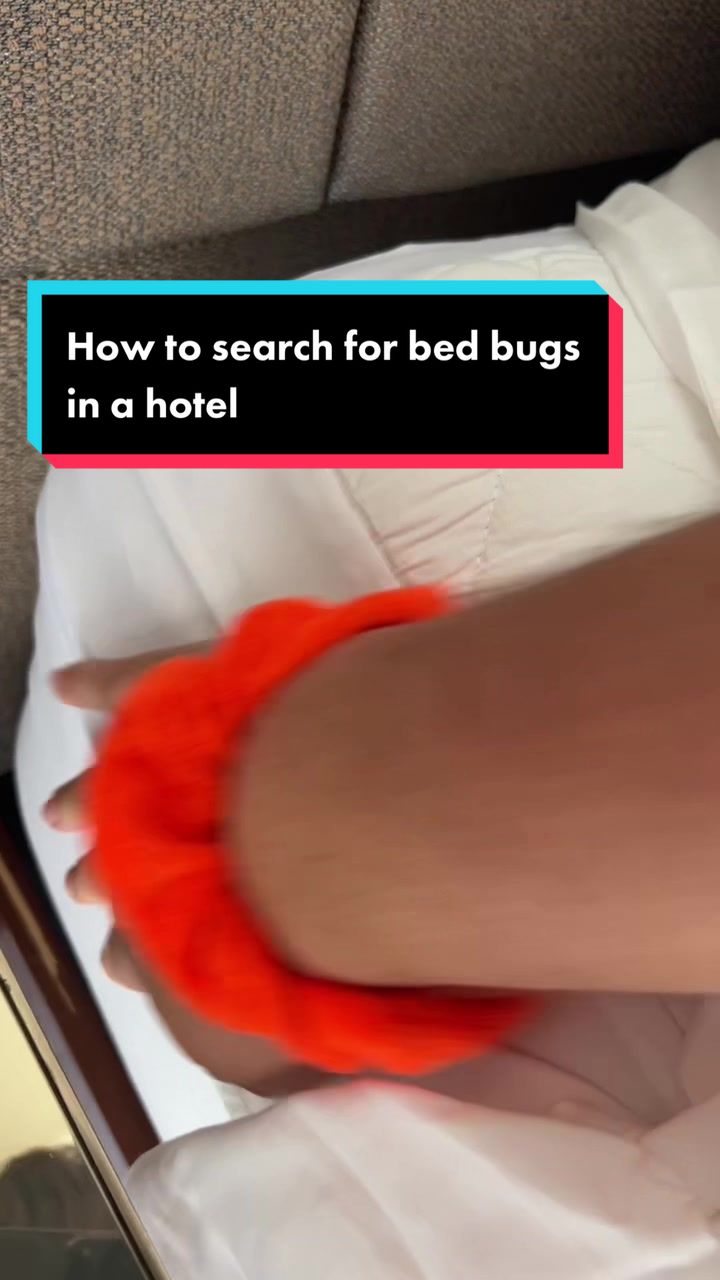 @Halee-Hotel & Travel Expert