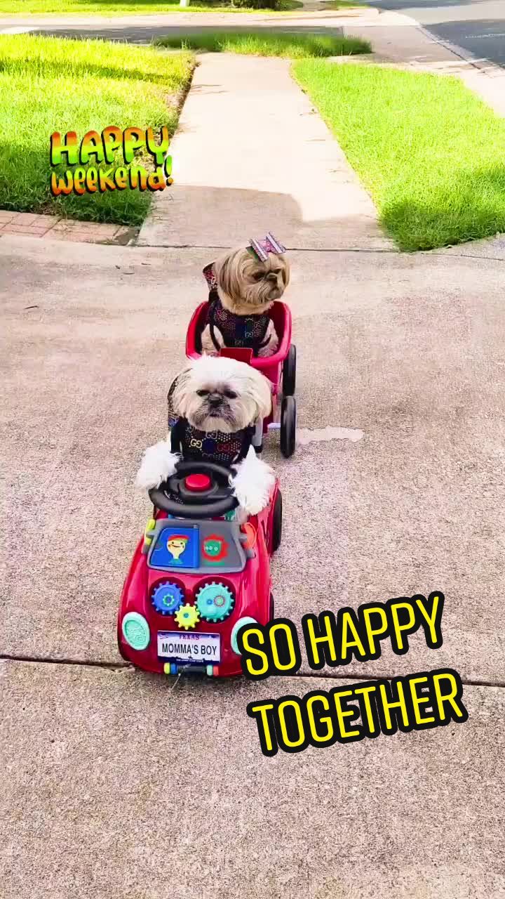 @peeweeandmiley