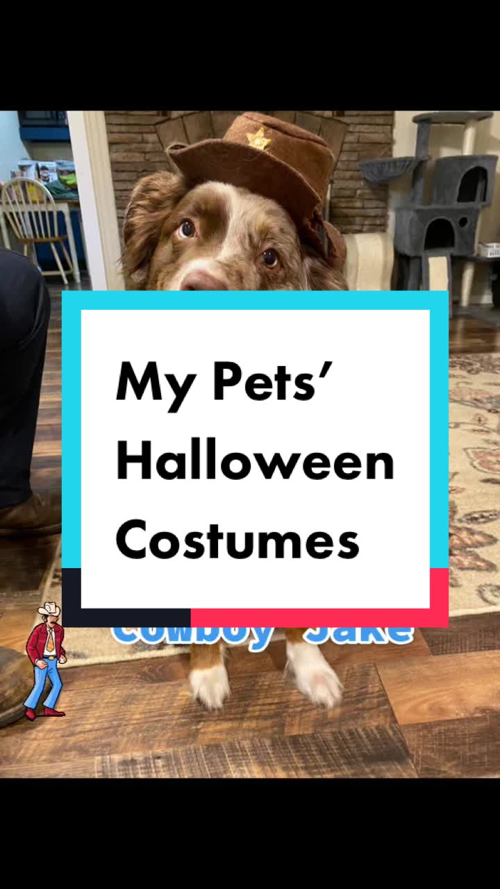 @jess.lucy13