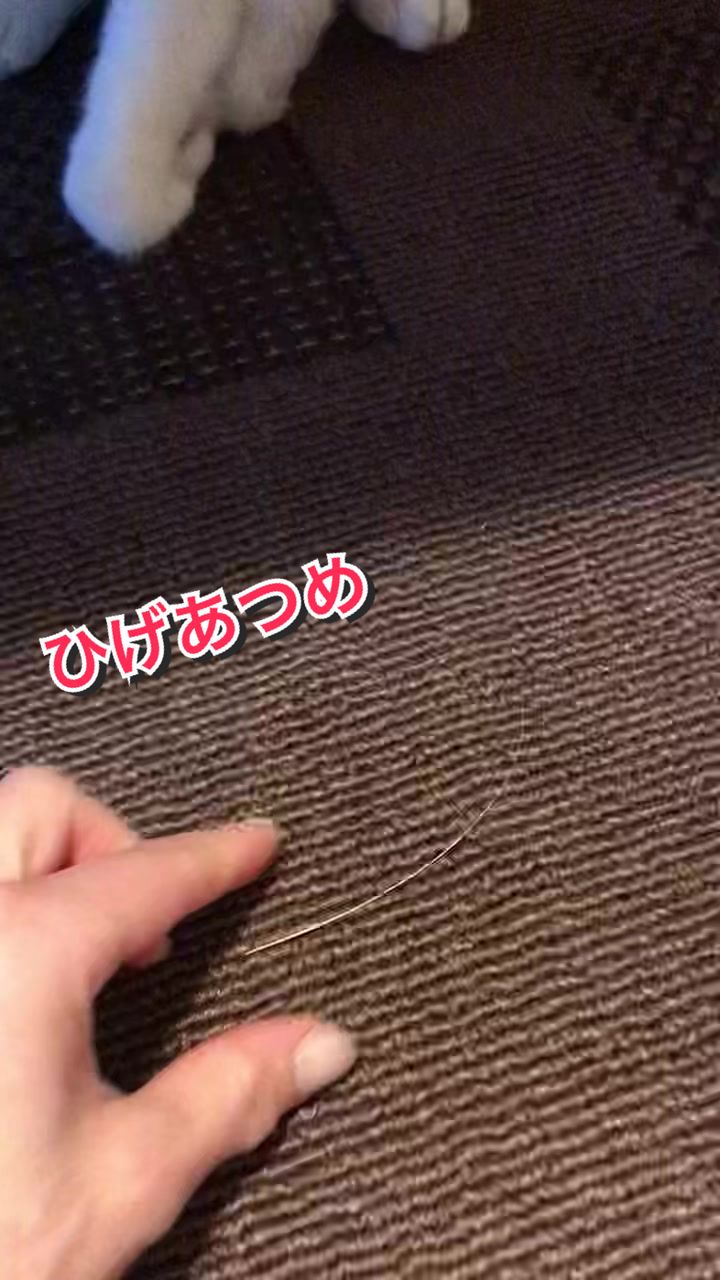 @陸丸 Rikumaru