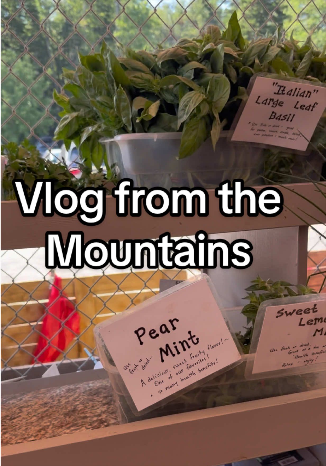 @Leah Victoria