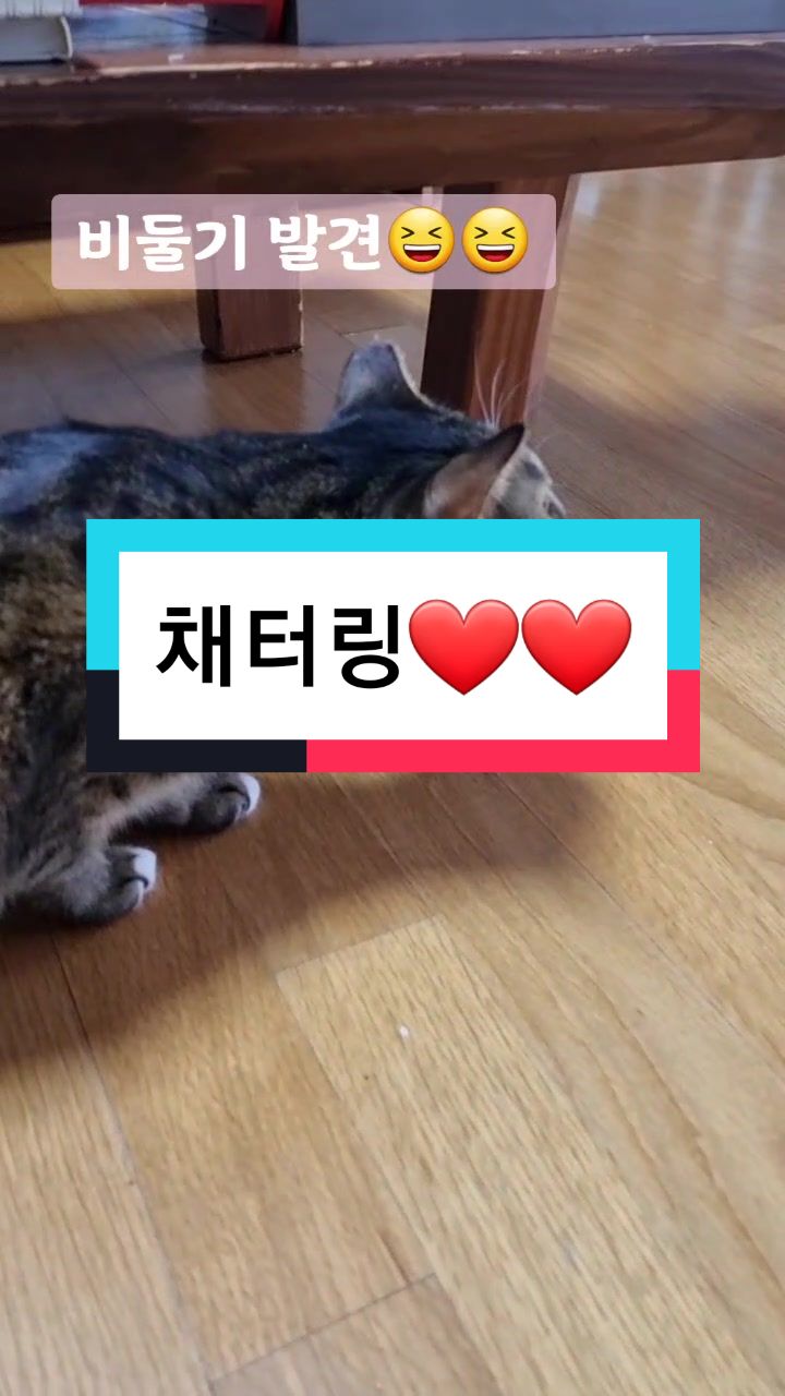 @봉봉_bongbong