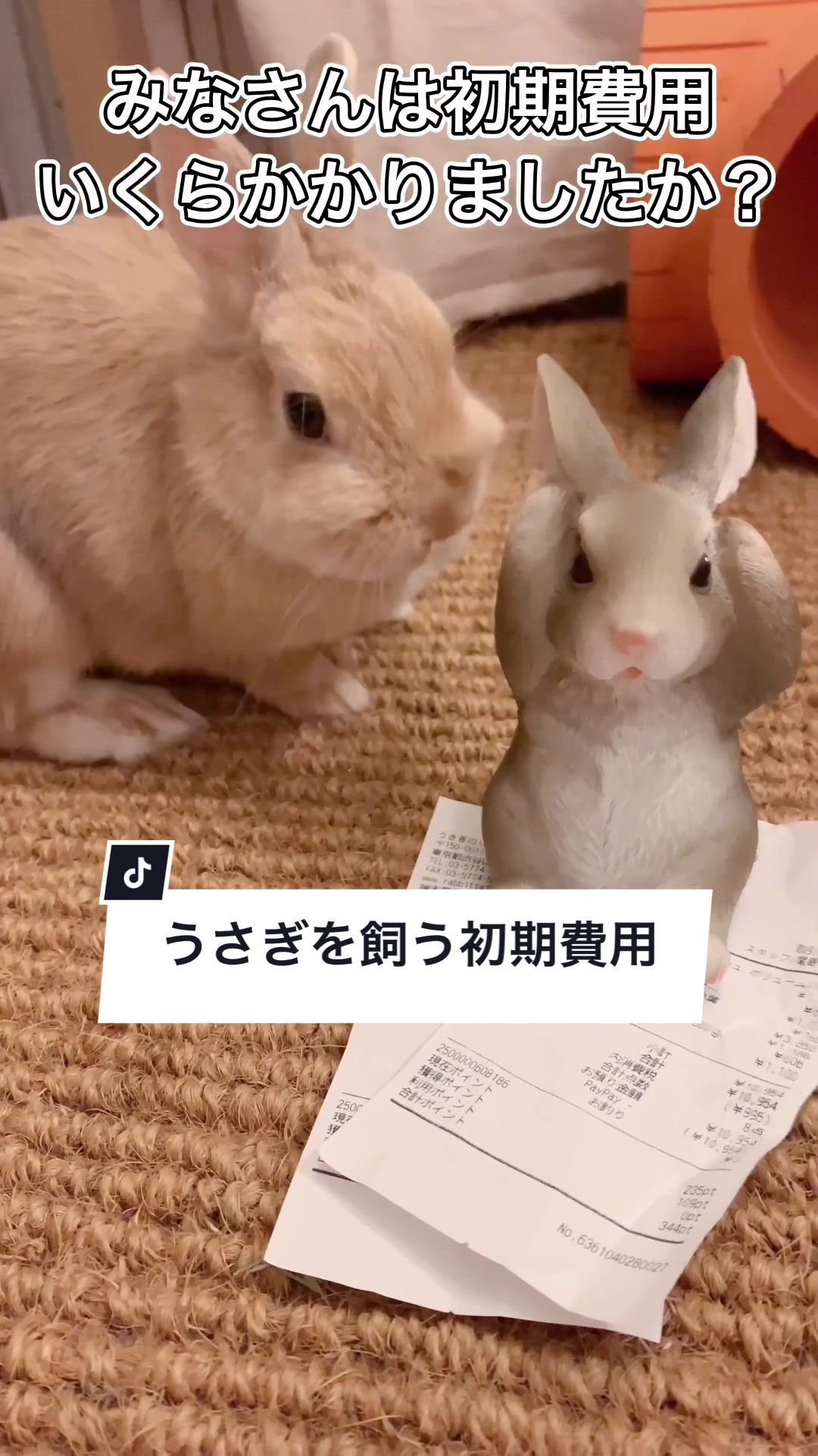 @うさぎと暮らす田中