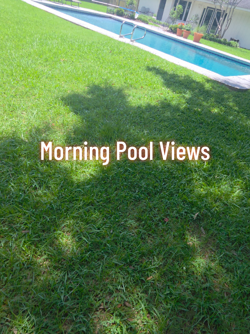 @Rex | BR Pool Pro