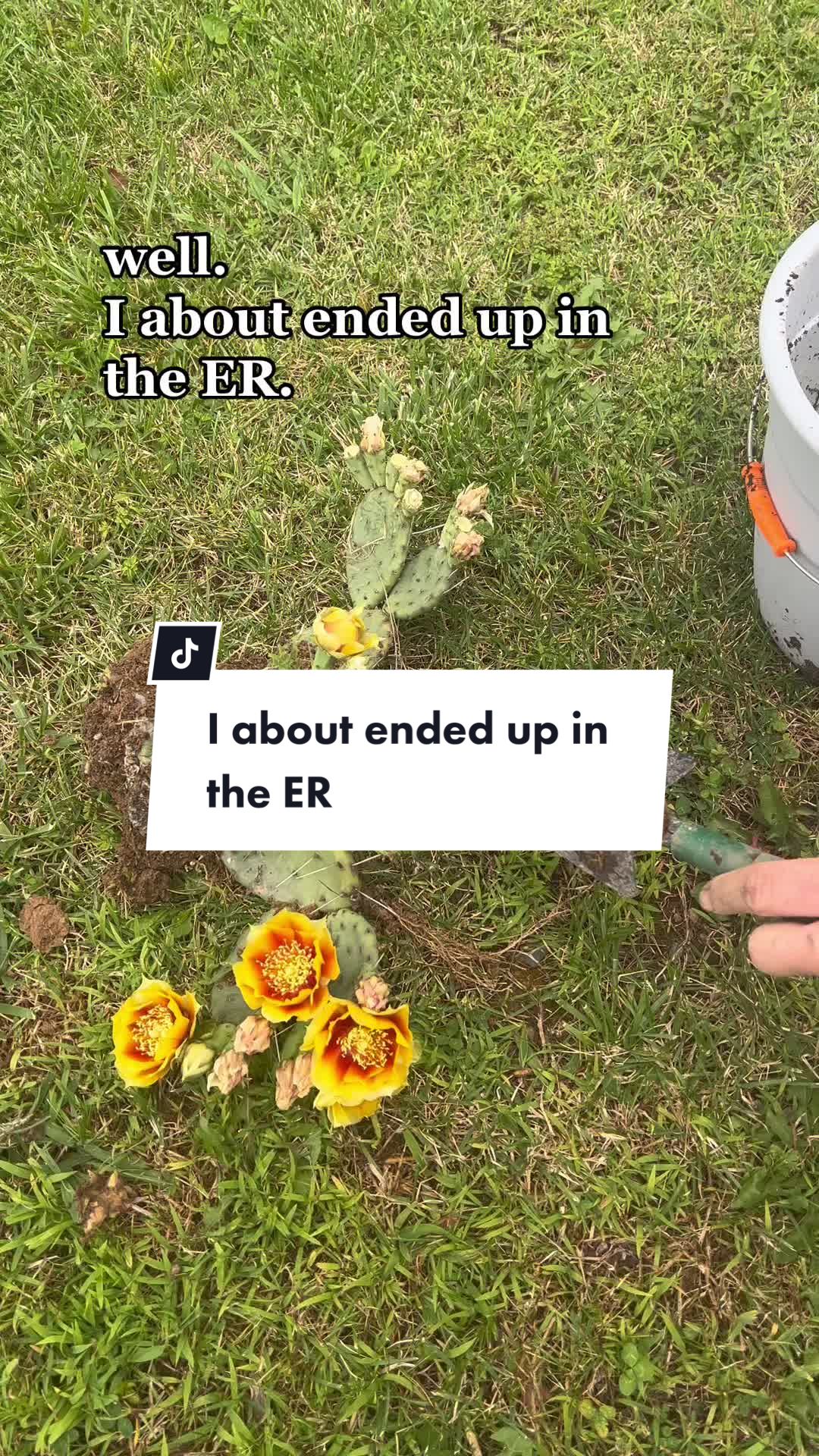 @Britt Karson