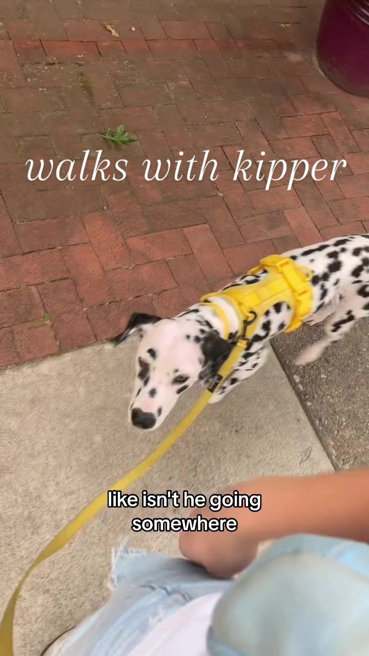 @Maisy