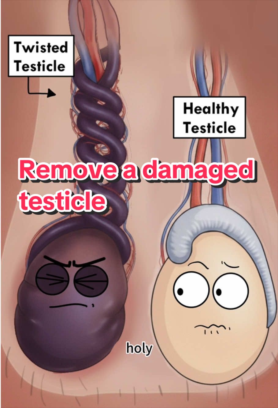 @Funny Animations