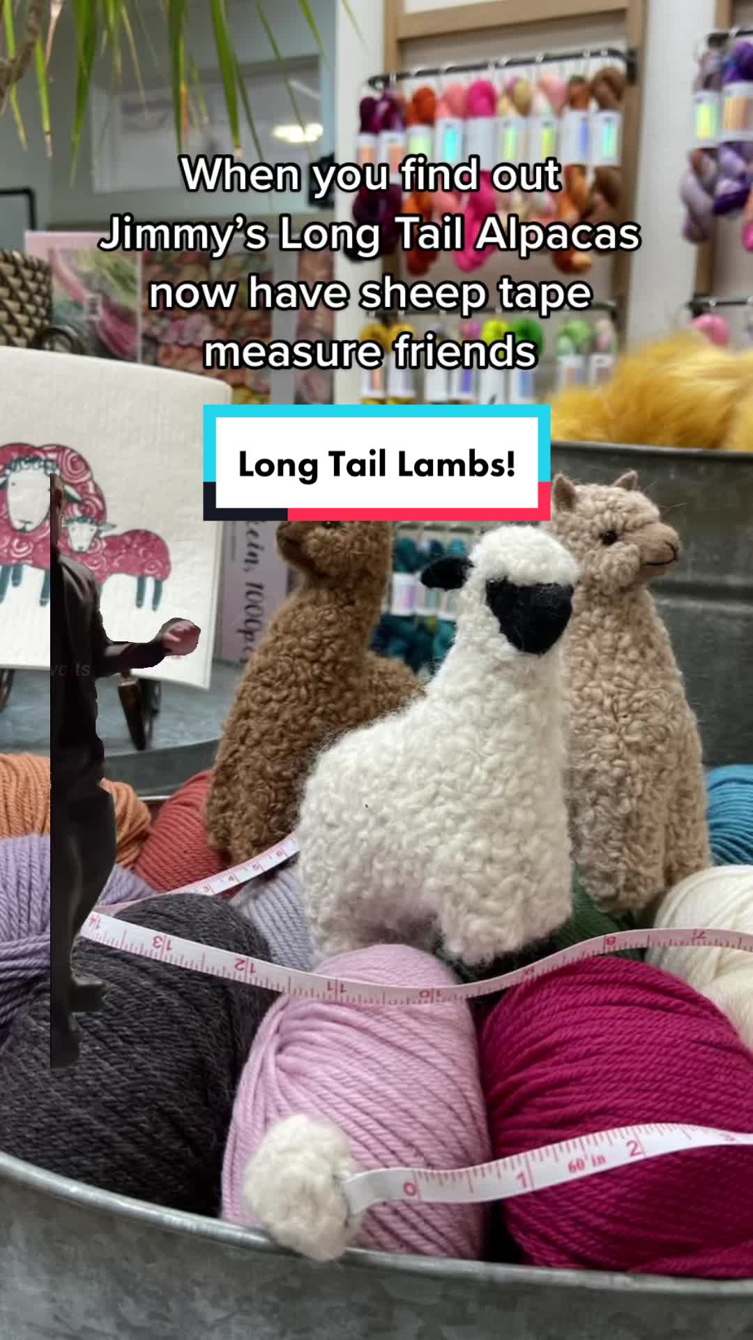 @Jimmy Beans Wool | Yarn Shop