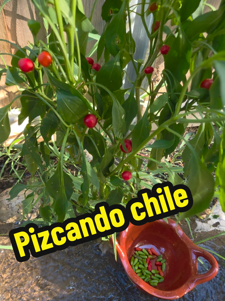@Mi Rincón Favorito