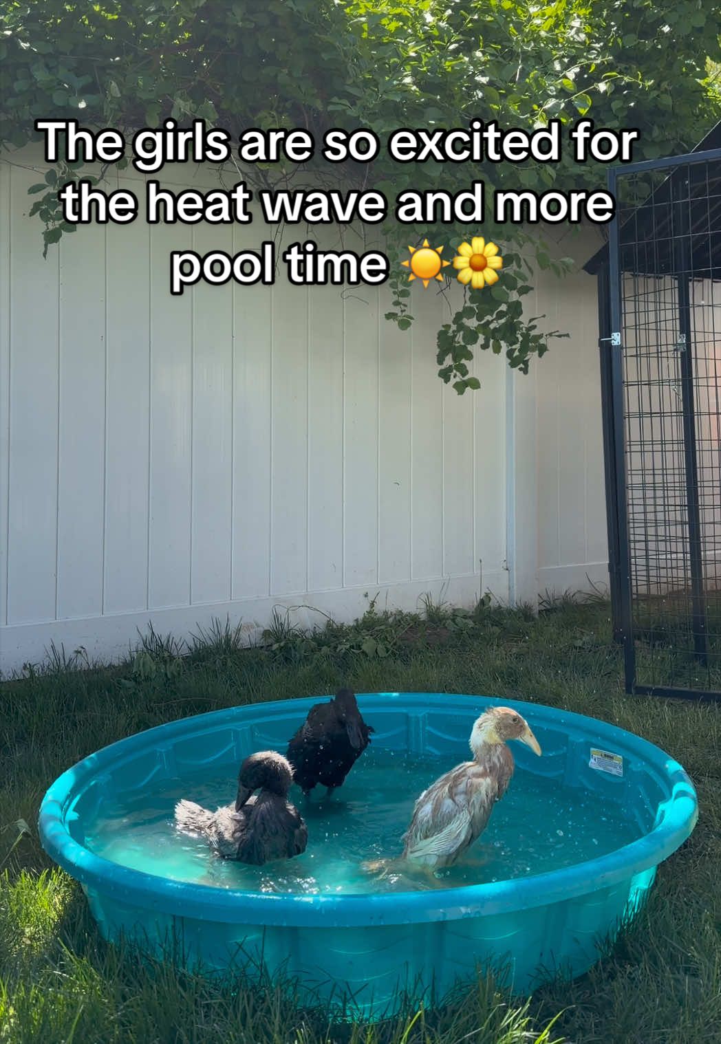 @hpan9