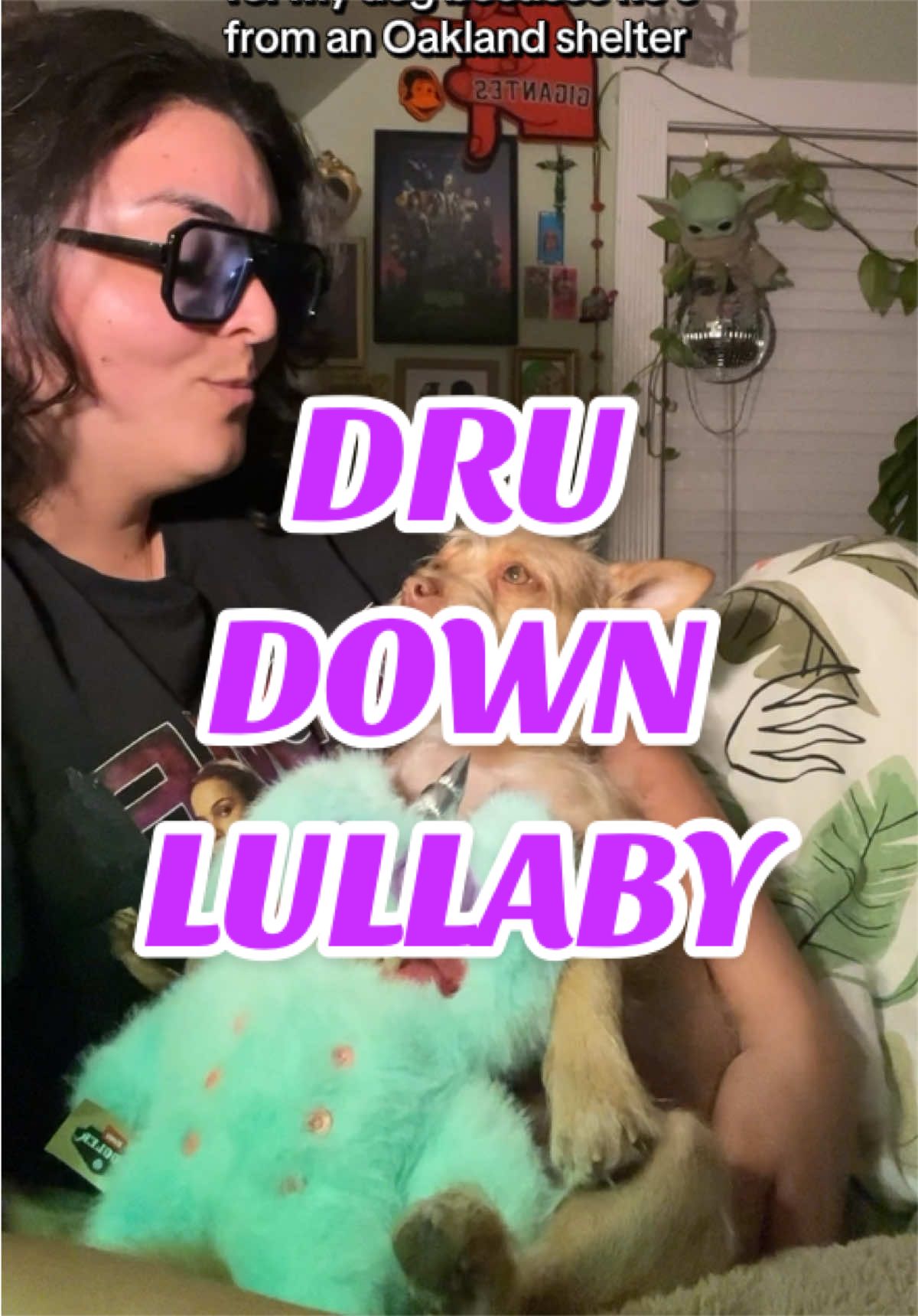 @What&rsquo;s New Sunny-Doo?