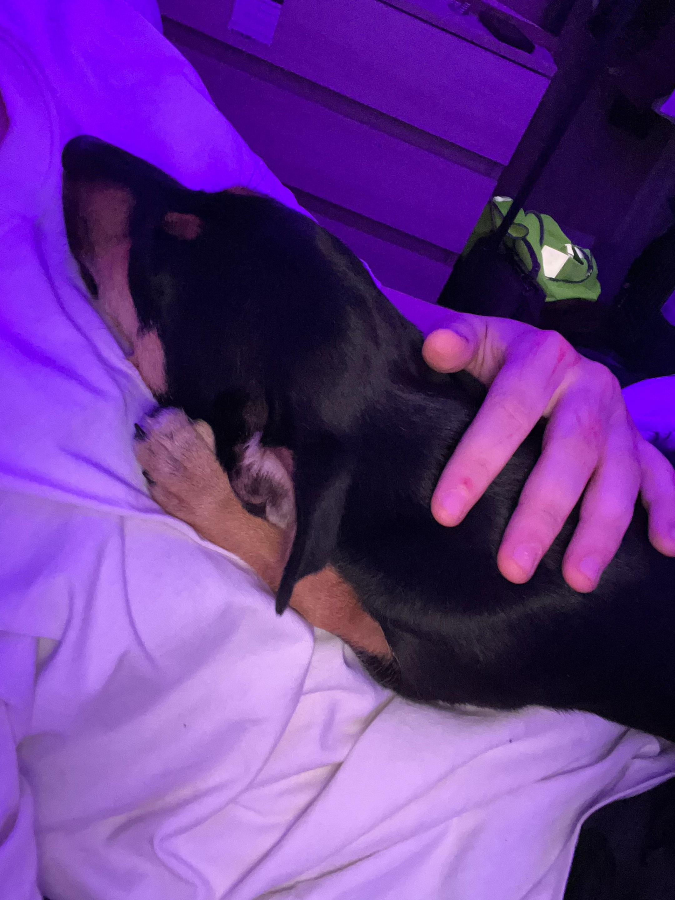 @enotikmraz21