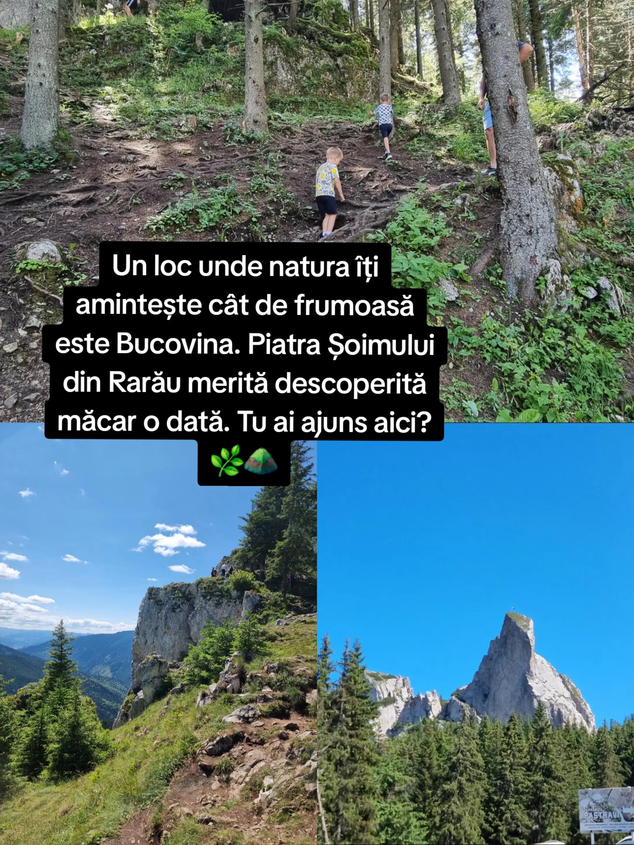 @🍎Din natură & Din tradiție