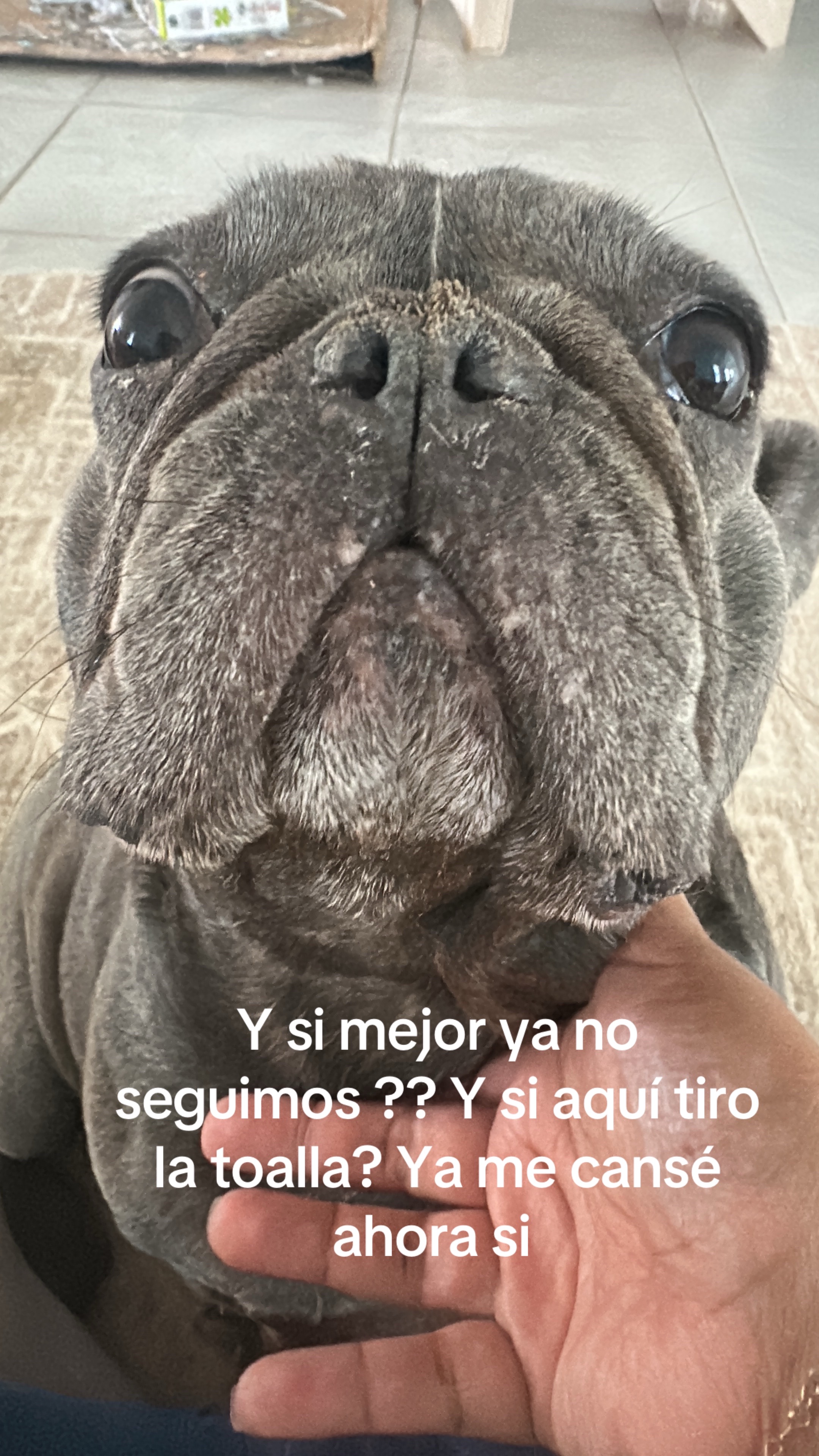 @Coco’s Paws