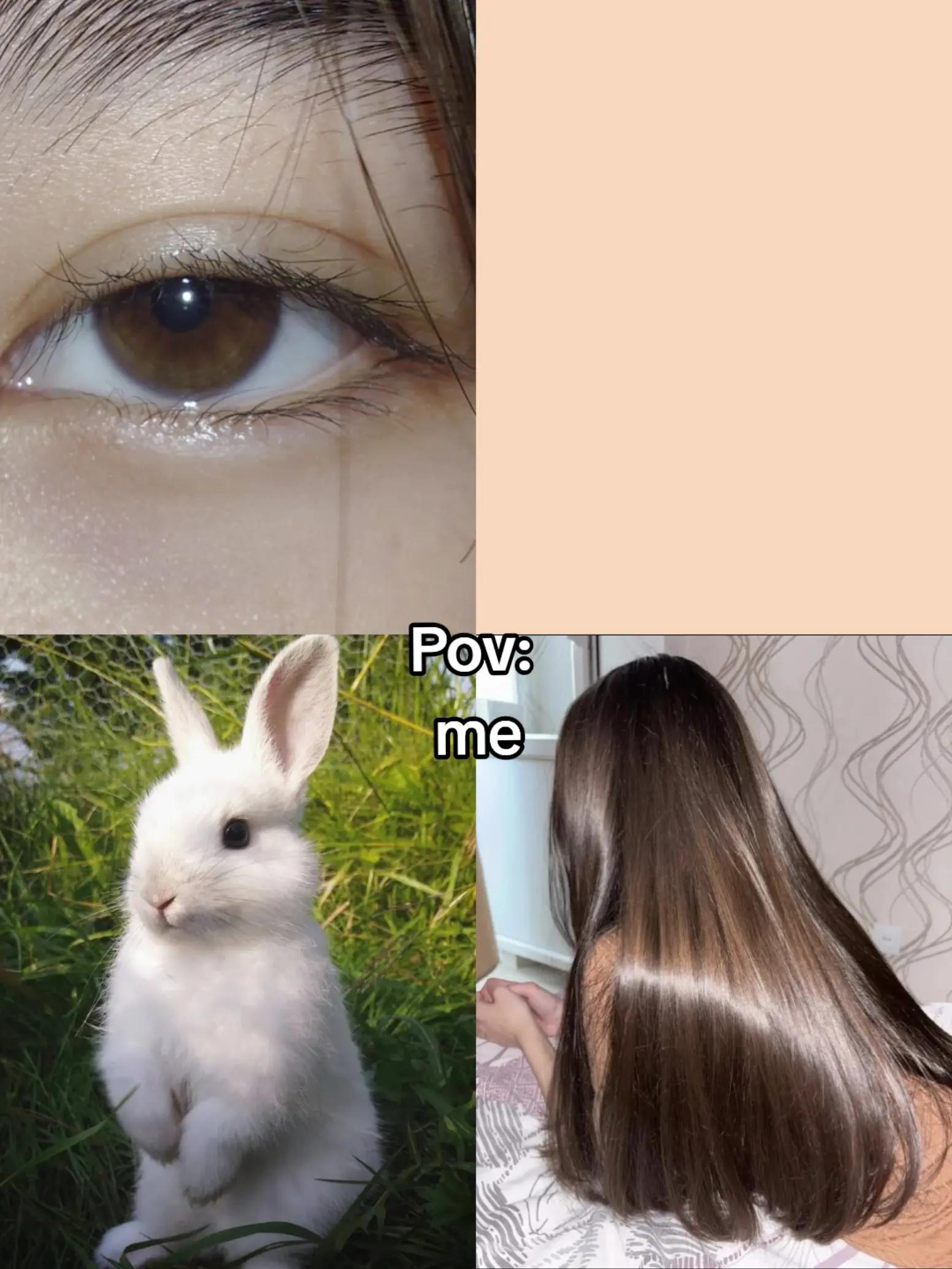 @𝓨𝓾𝓷𝓪🐬