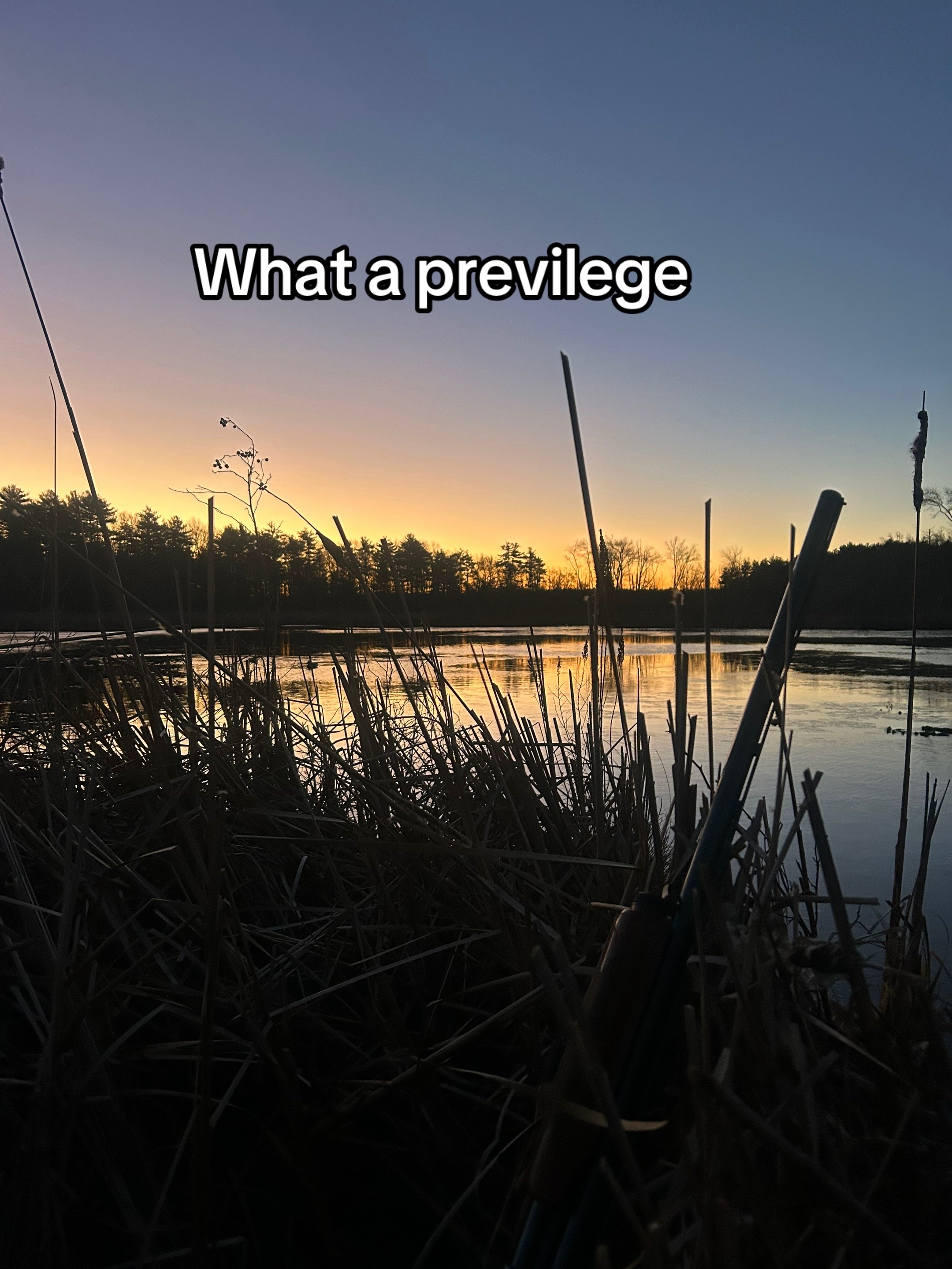 @Stu_is_fishn