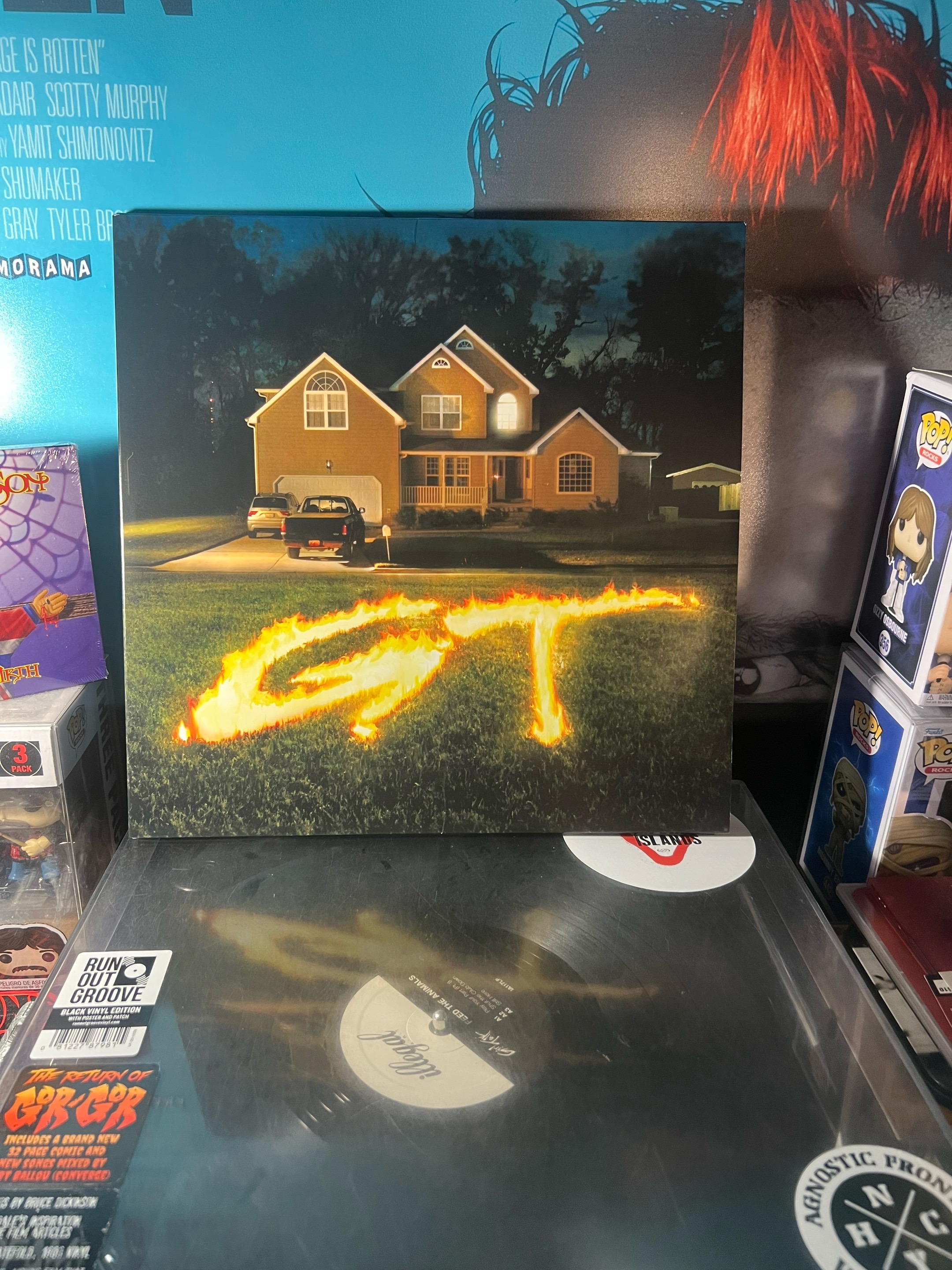 @vinyl_maiden