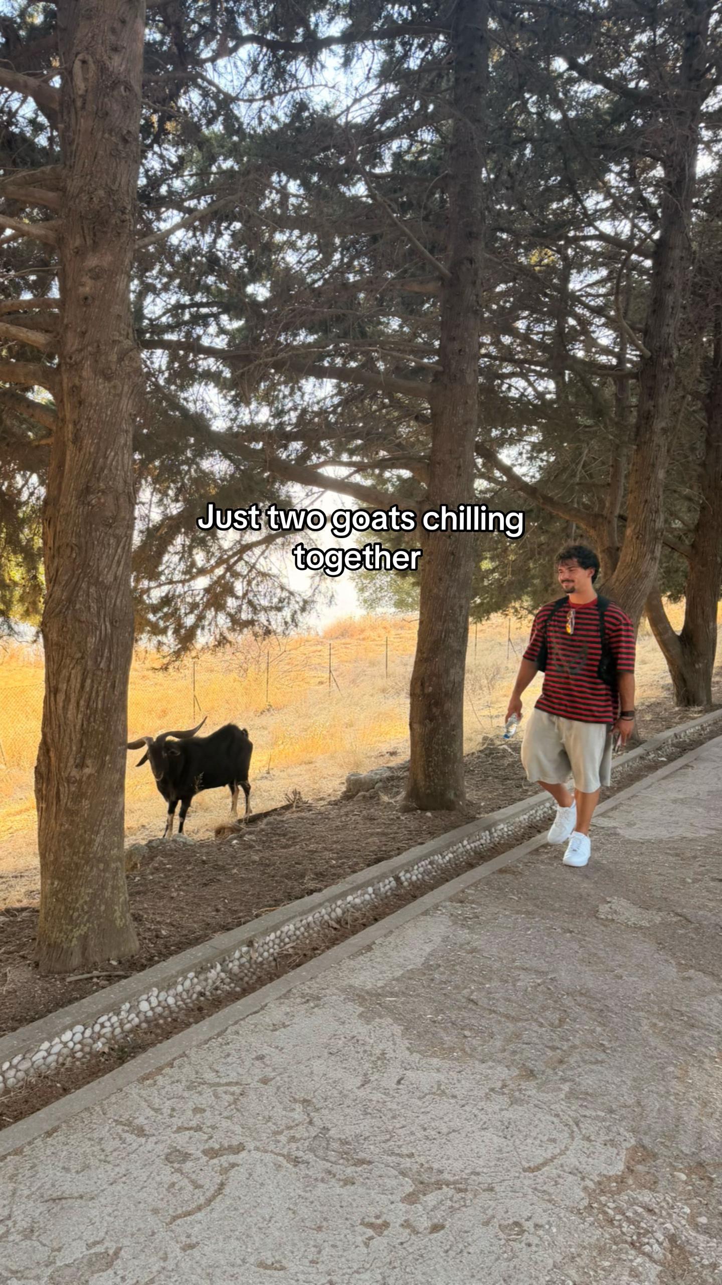 @tsibookis