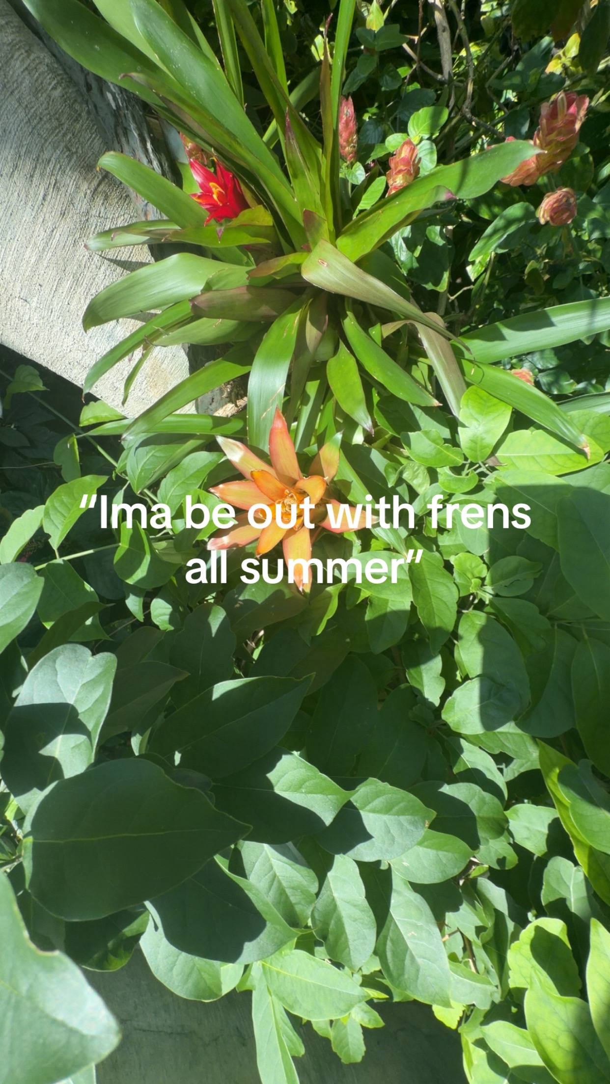 @ 