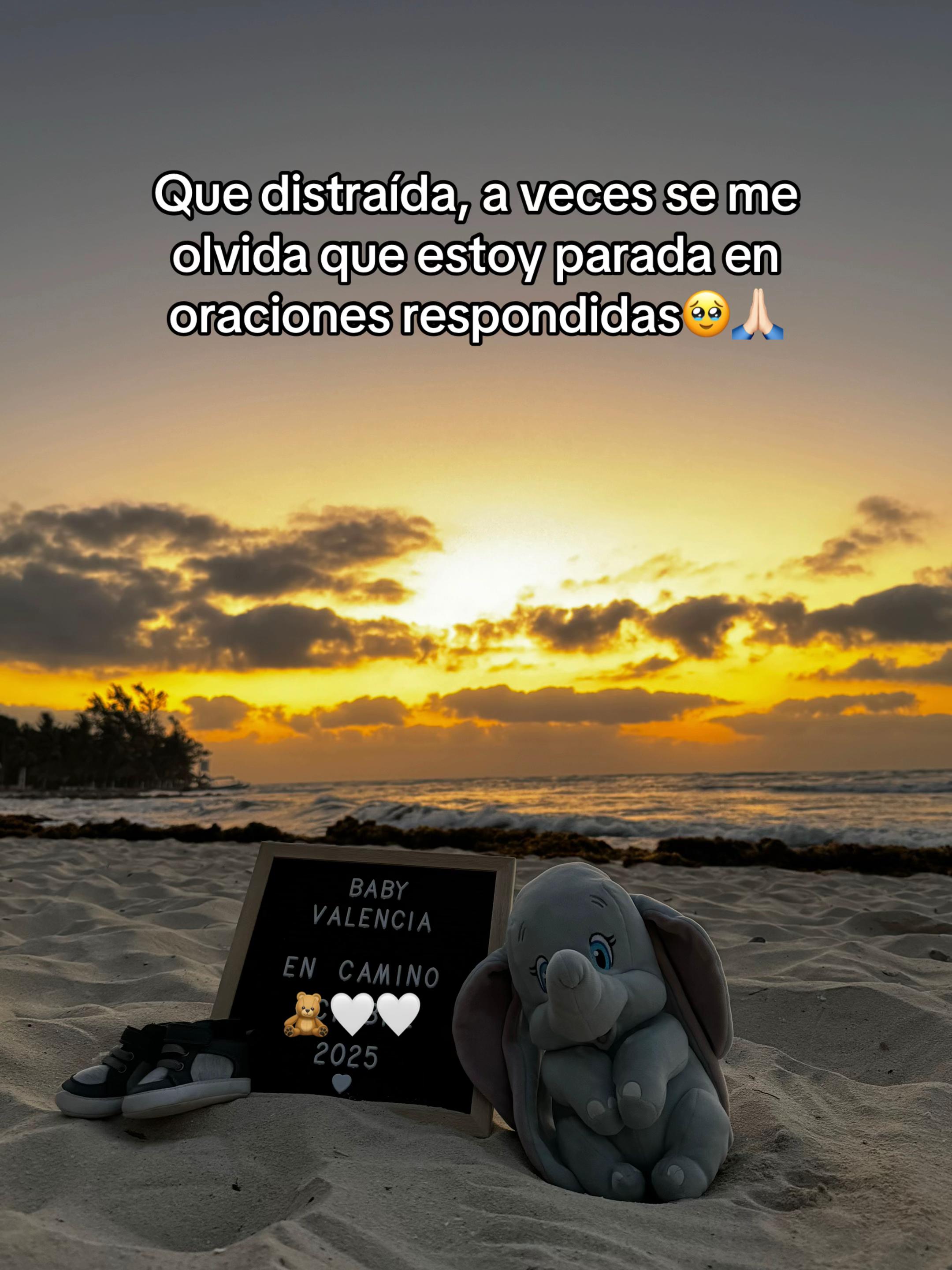 @lizbeth_alcaraz07