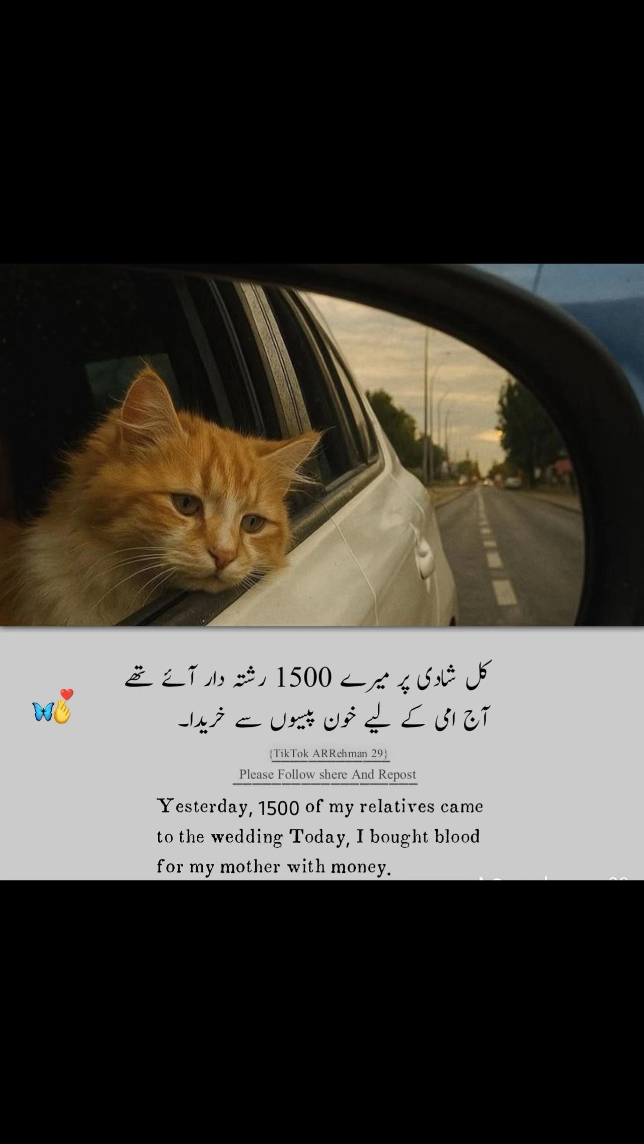 @junaid gillani