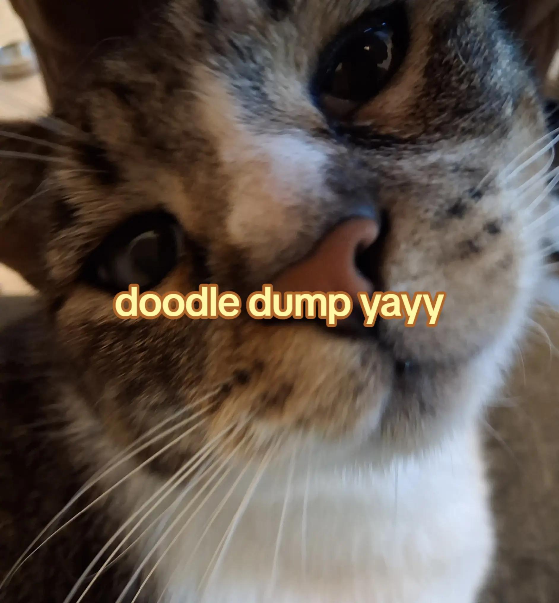 @Dimitri ๐๐ชฝ