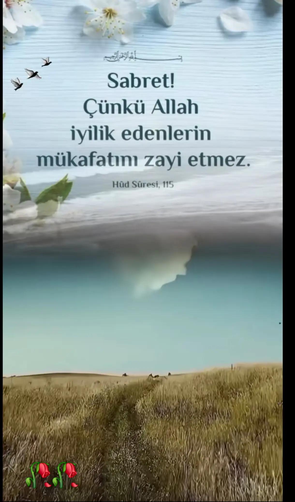 @fidansamet68