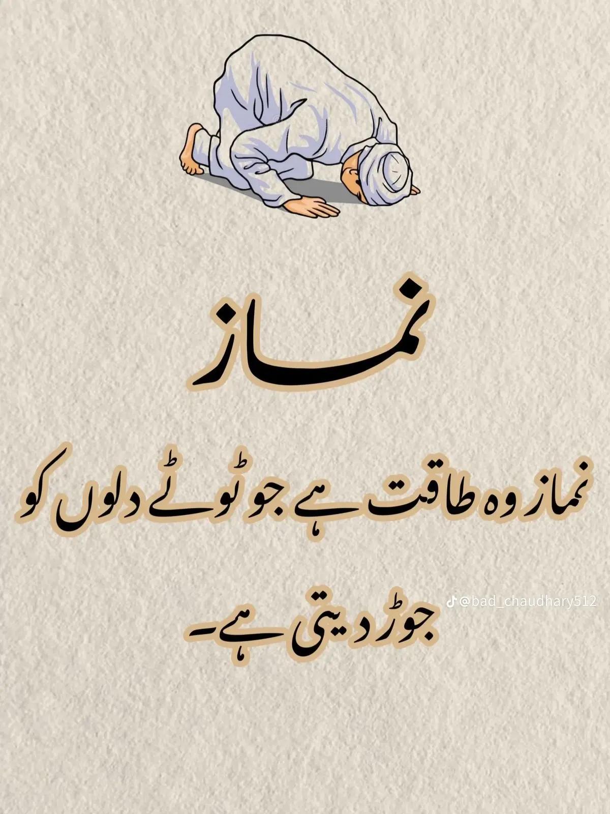 @HUMAIR. 46🐯🐯