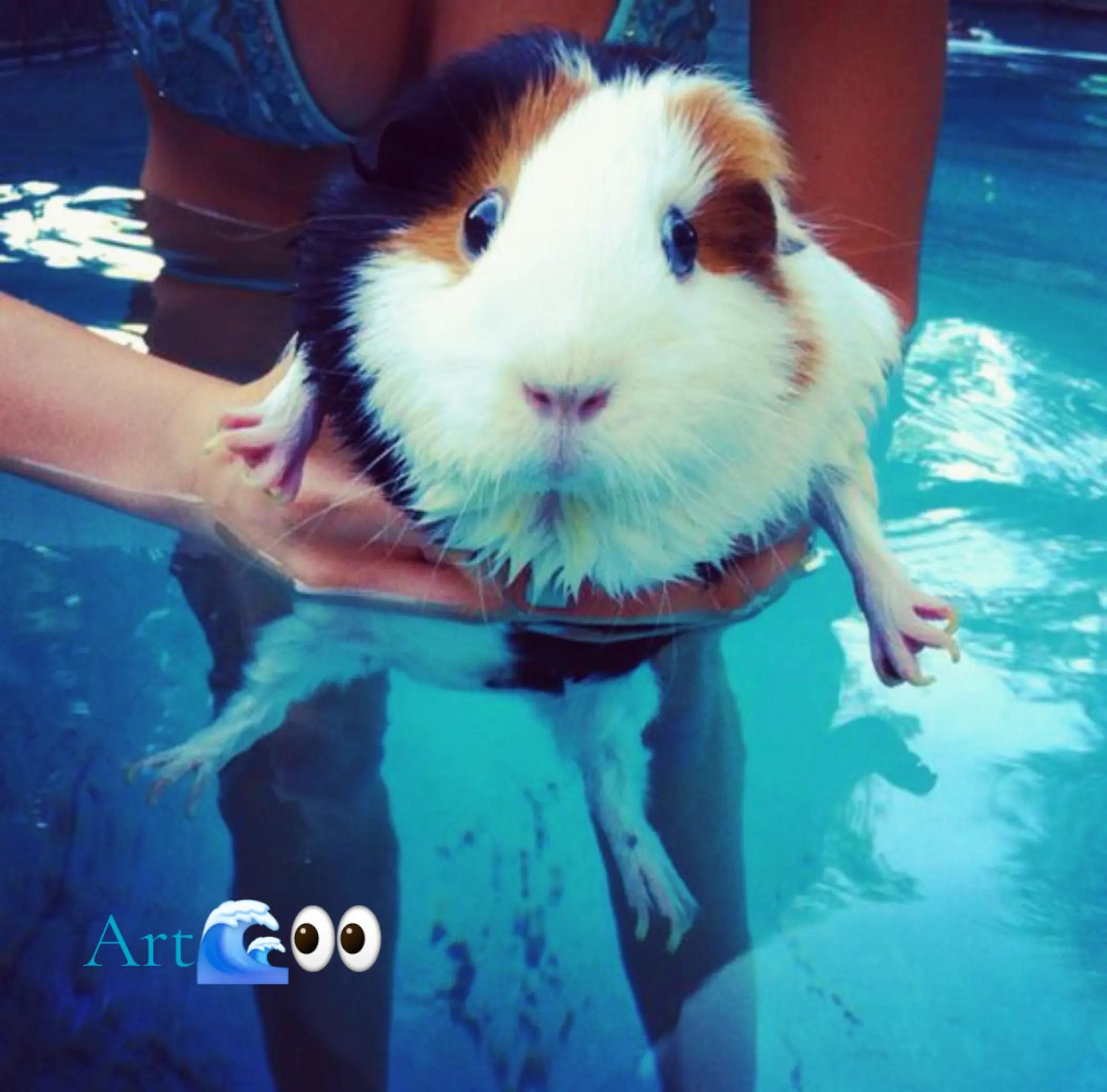 @Aspen ^^
