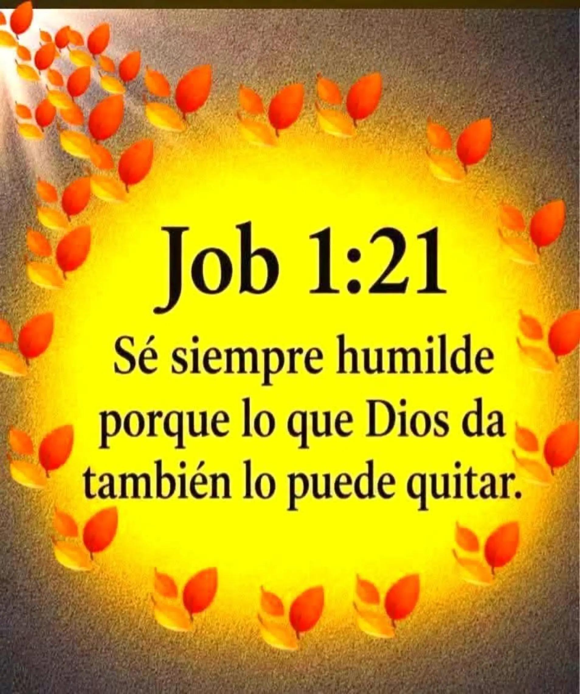 @Baltazar hernandes