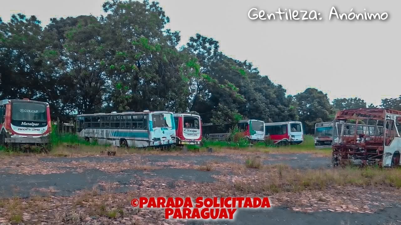 @Tu Guardita Alex 🇳🇱🇳🇱🚍