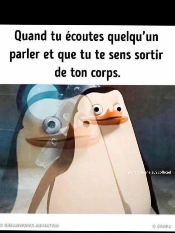 @stephanelevinternational