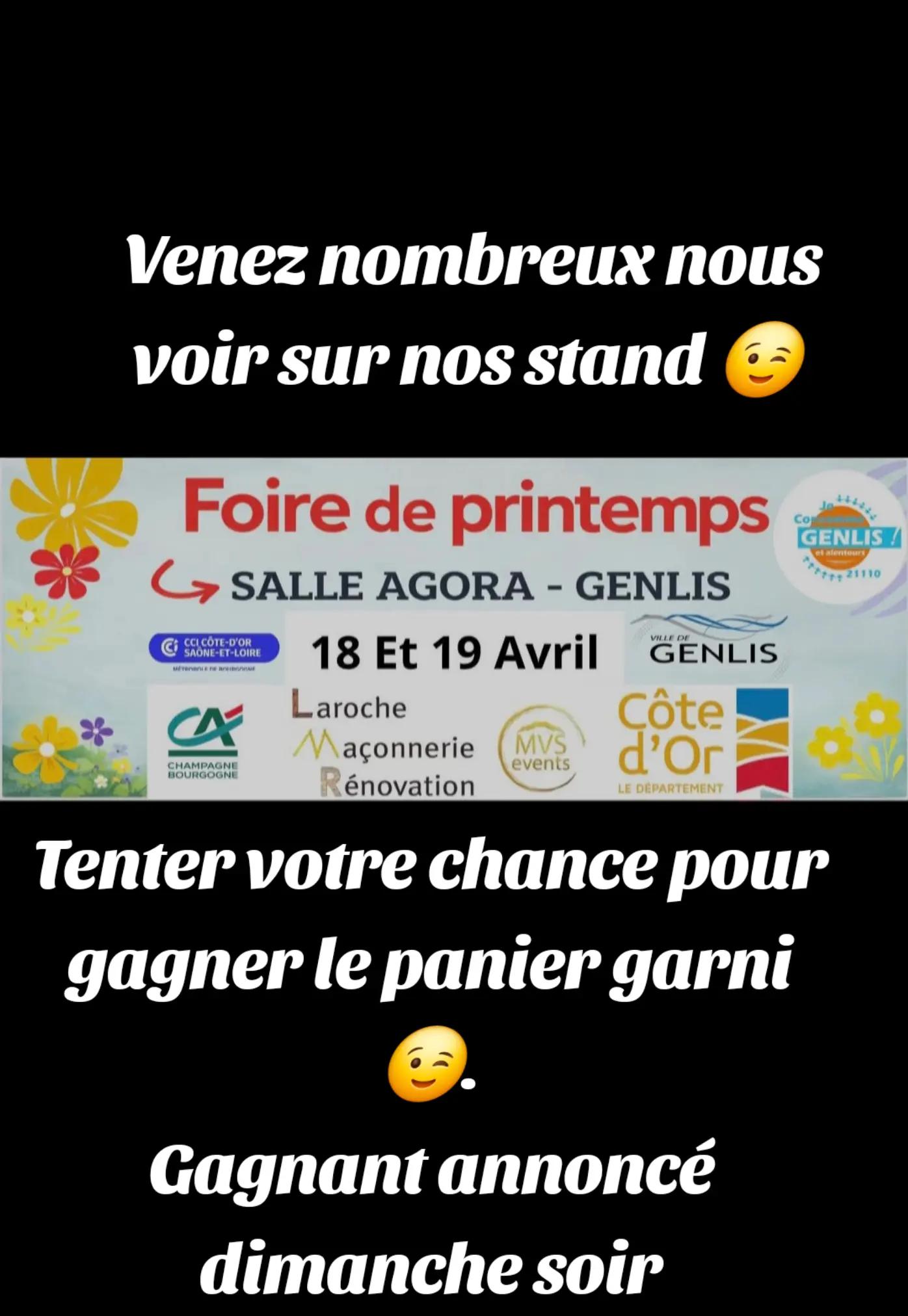 @Viviane Savry Bellis'immo