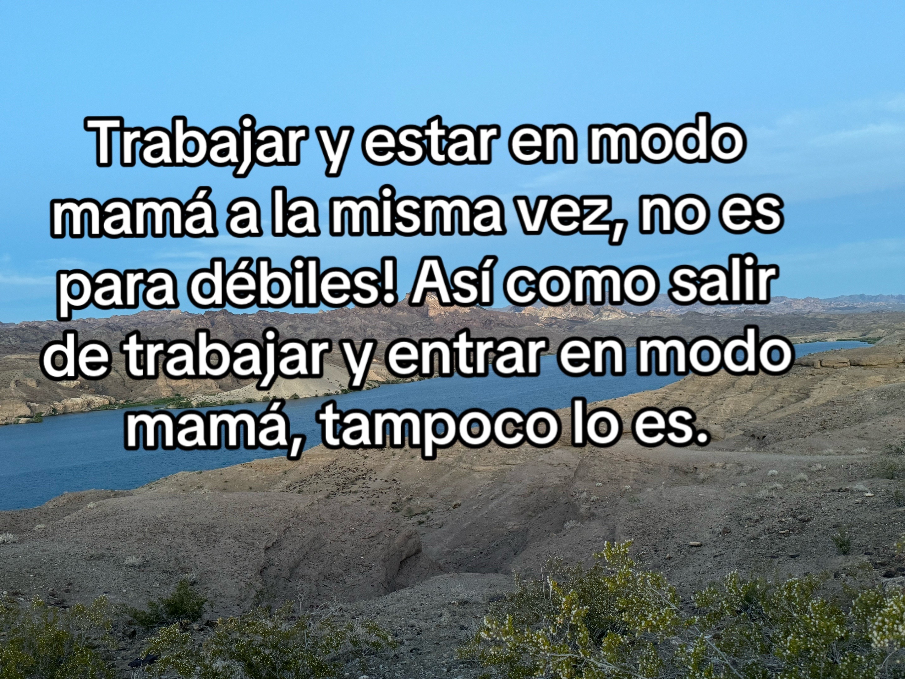 @Lorena Tolentino