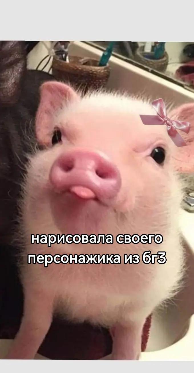 @адмирал