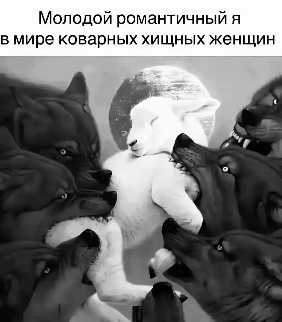 @тгк hikkilower