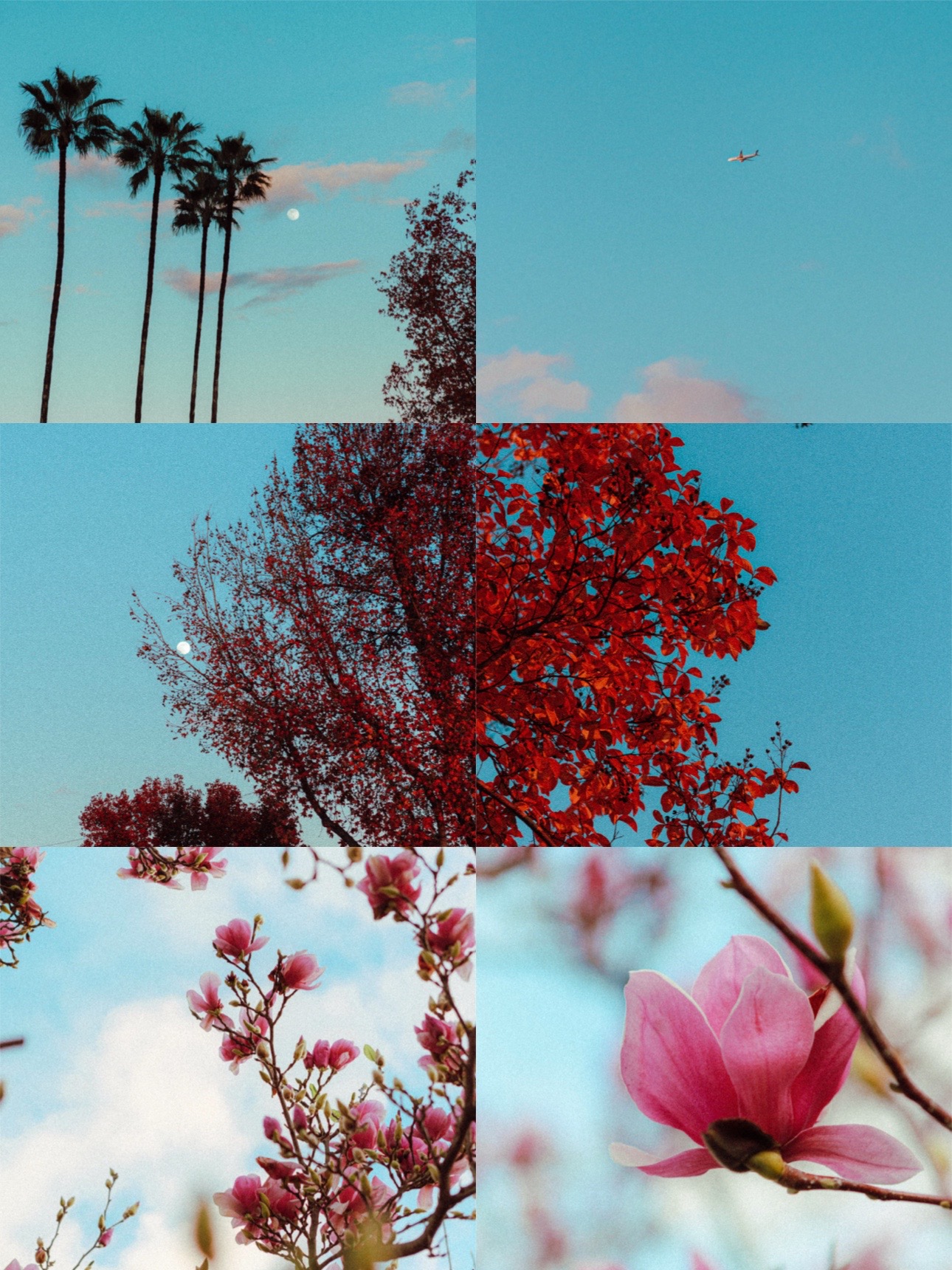 @Kim | OC Photographer โจ