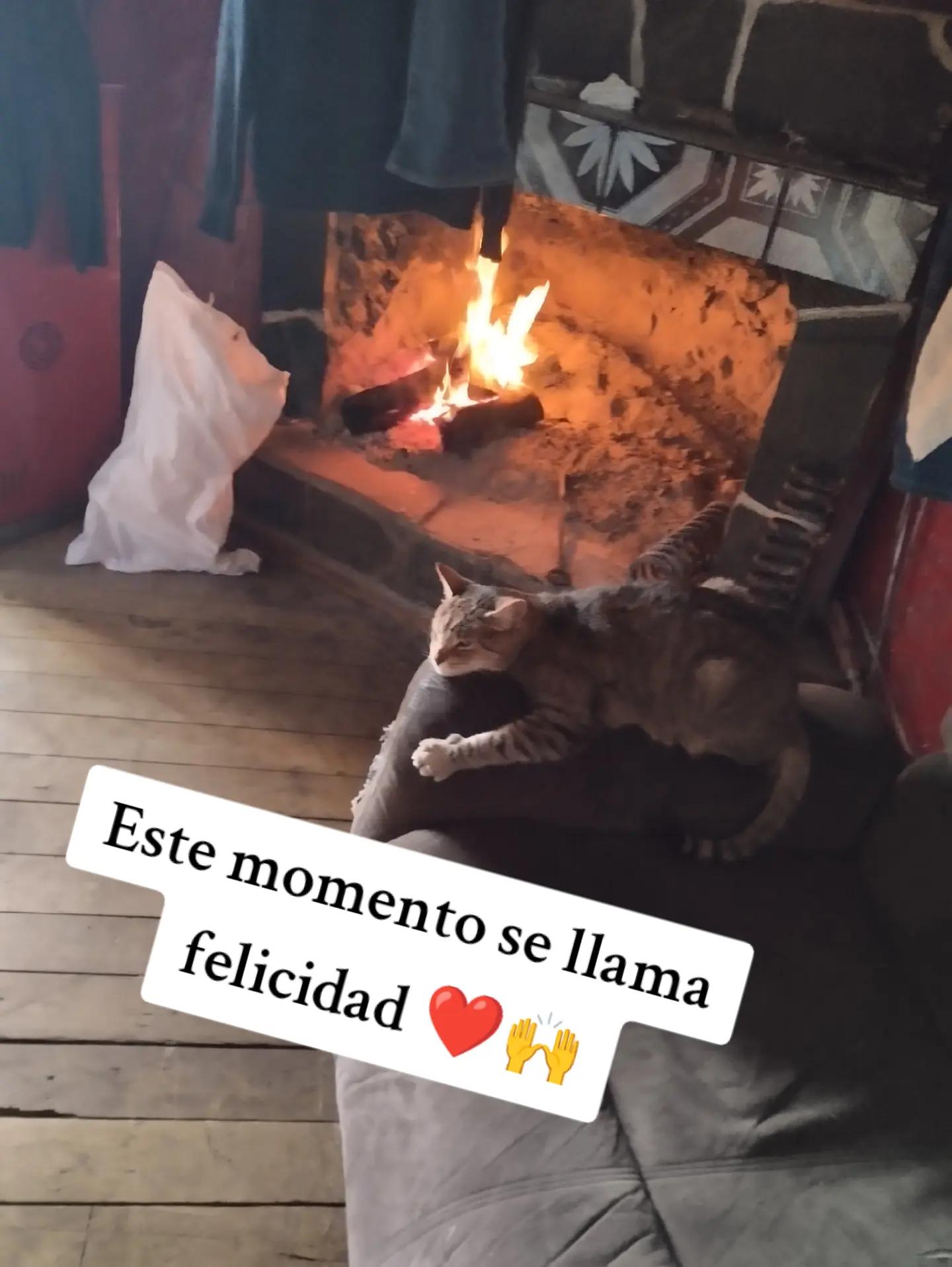 @Karina Toledo Vallejos